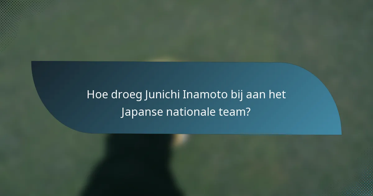 Hoe droeg Junichi Inamoto bij aan het Japanse nationale team?