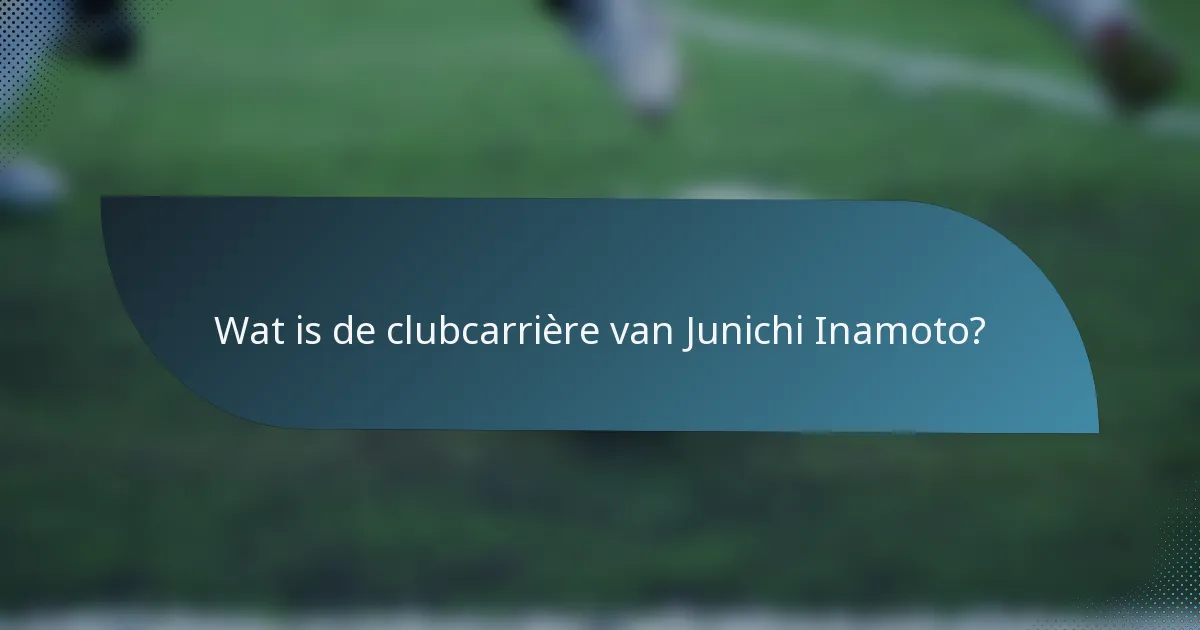 Wat is de clubcarrière van Junichi Inamoto?