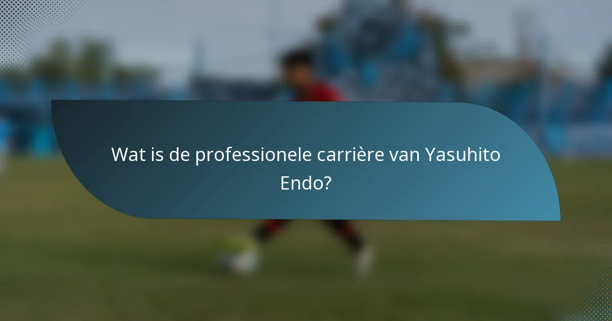 Wat is de professionele carrière van Yasuhito Endo?